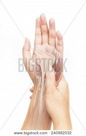 Wrist Muscle Pain White Background Wrist Pain
