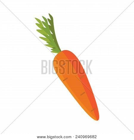 Ripe Raw Carrot With Green Halm Leaves Icon. Orange Healthy Food, Vegetable Full Of Vitamins. Fresh 
