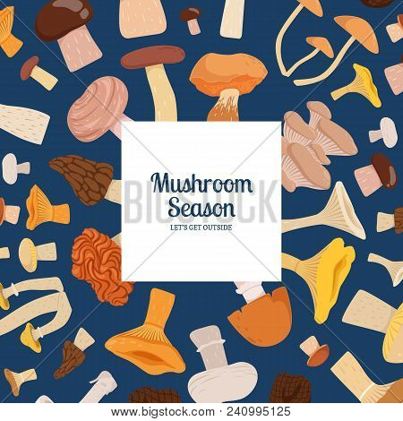 Vector Background With Place For Text With Cartoon Mushrooms Illustration