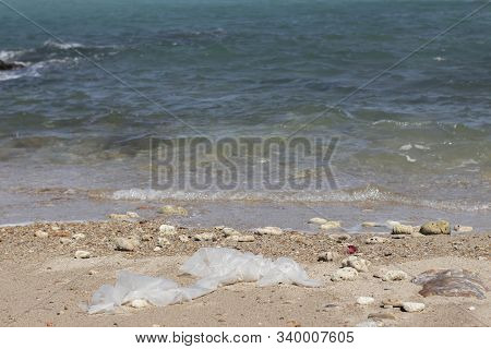 Used White Plastic Bags , Rocks And Shells That Were Washed Into The Sand And Laid On The Shore And 