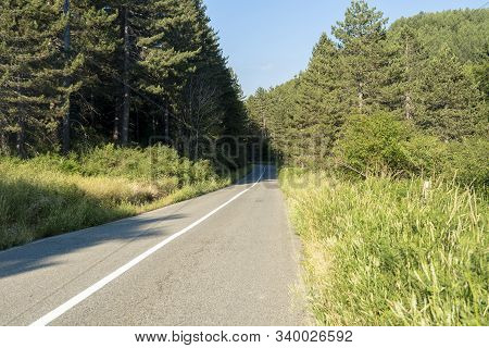 Summer Landscape Along The Road To Camigliatello Silano, Cosenza, Calabria, Italy, In The Sila Natur
