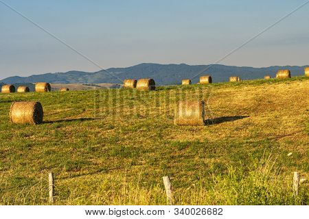 Summer Landscape Along The Road To Camigliatello Silano, Cosenza, Calabria, Italy, In The Sila Natur