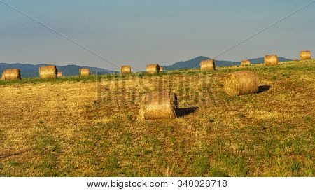 Summer Landscape Along The Road To Camigliatello Silano, Cosenza, Calabria, Italy, In The Sila Natur