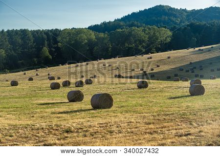 Summer Landscape Along The Road To Camigliatello Silano, Cosenza, Calabria, Italy, In The Sila Natur