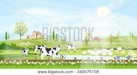 Rural Farm Landscape With Green Fields And Barn Animals Cow, Goats, Sheep And Windmills On Hill With