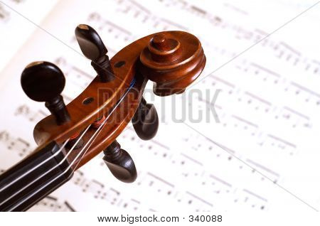 Cabeza de violín