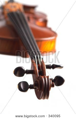 Violín
