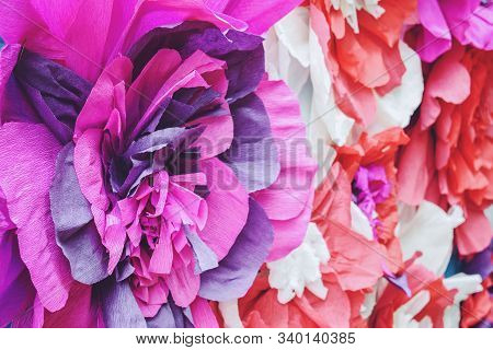 Large Giant Bendable Paper Flowers. Big Pink Roses Made From Paper. Diy Big Paper Flower Made From C