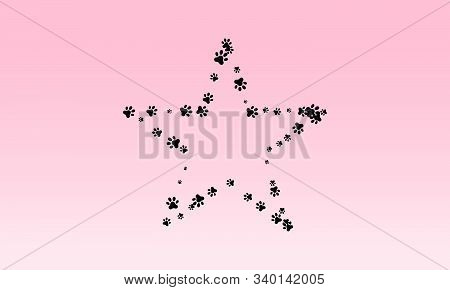 Paw Foot Trail Print Of Dog And Cat With Star Shape Vector Illustration.