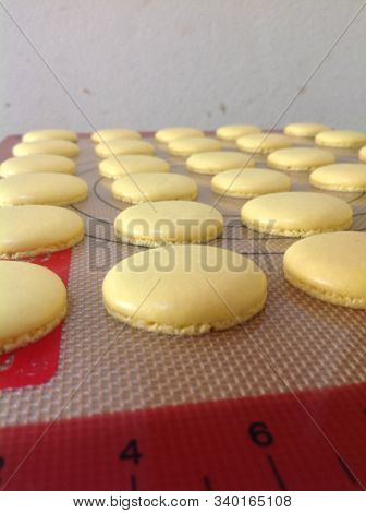 Yellow Magaroons Shell On Silicone Tray Background