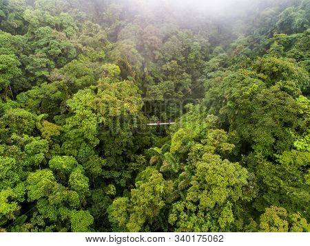 Couple Walking Over Mystico Hanging Bridges At La Fortuna Rainforest Aerial Drone View In Costa Rica