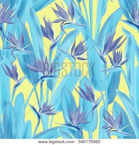 Strelitzia Reginae Tropical Flower Vector Seamless Pattern. Bohemian Tropical Plant Fabric Print Des