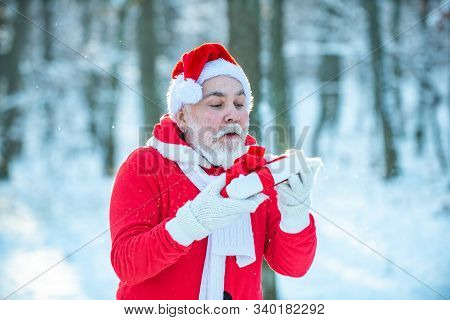 Grandfather Santa Walks In Forest. Real Santa Claus In Red Cap Pulling Large Red Gift Sack. Santa Ca