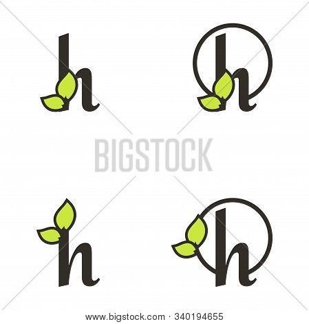 Letter H Logo Template, Tree Leaf Design Vector