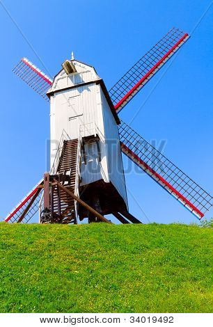 Mulino a vento e verde prato a Brugge