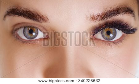 Eyelash Extension Procedure. Woman Eye With Long Blue Eyelashes. Ombre Effect. Close Up, Selective F