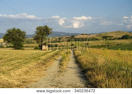 Summer Landscape Along The Road To Camigliatello Silano, Cosenza, Calabria, Italy, In The Sila Natur
