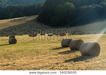 Summer Landscape Along The Road To Camigliatello Silano, Cosenza, Calabria, Italy, In The Sila Natur