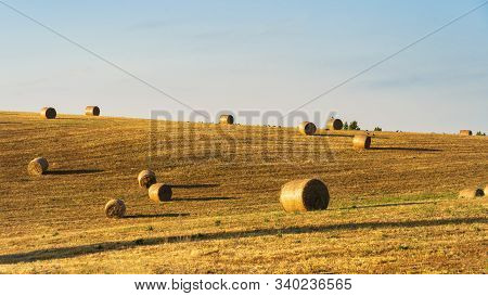 Summer Landscape Along The Road To Camigliatello Silano, Cosenza, Calabria, Italy, In The Sila Natur