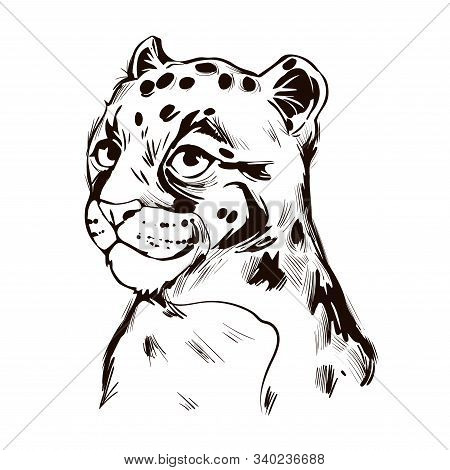 Clouded Leopard Baby Tabby Neofelis Wild Cat From Himalayan T-shirt Print, Isolated Monochrome Desig