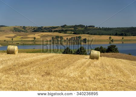 Summer Landscape Along The Road To Camigliatello Silano, Cosenza, Calabria, Italy, In The Sila Natur