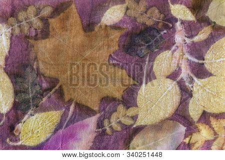 Seamless Botanical Print With Leaf Prints On Natural Silk. Hand-drawn Illustration.
