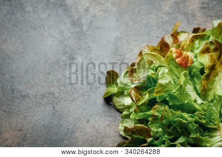 Green Chilli Peppers On A Dark Background With Copy Space