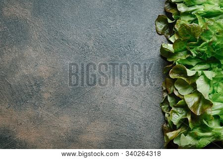 Green Chilli Peppers On A Dark Background With Copy Space
