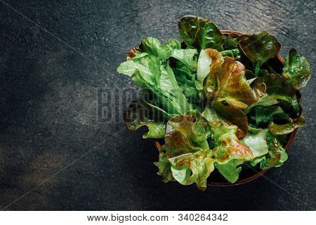 Green Chilli Peppers On A Dark Background With Copy Space