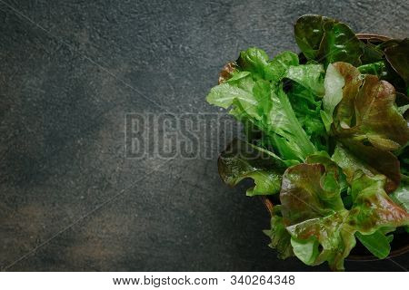 Green Chilli Peppers On A Dark Background With Copy Space
