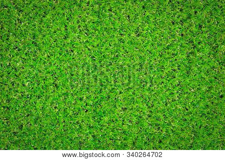 Green Artificial Grass Background Shot From Above - Image