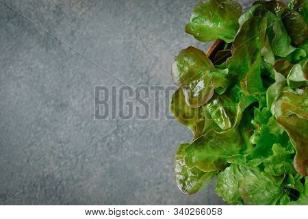 Green Chilli Peppers On A Dark Background With Copy Space