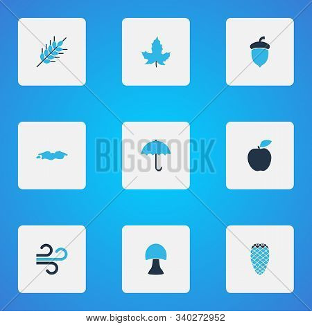 Seasonal Icons Colored Set With Apple, Puddle, Pine Cone And Other Cedar Elements. Isolated Illustra