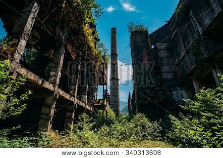 Overgrown Ruins Of Industrial Building. Abandoned, Destroyed By War Power Plant In Tkvarcheli Tquarh