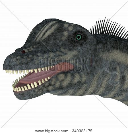 Sauroposeidon Dinosaur Head 3d Illustration - Sauroposeidon Was A Sauropod Herbivorous Dinosaur That