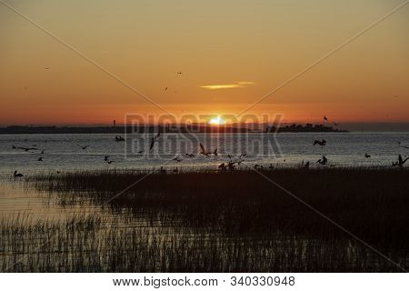 Charleston, South Carolina, United States, November 2019, Sunrise Over Charleston Harbour Bay Lookin