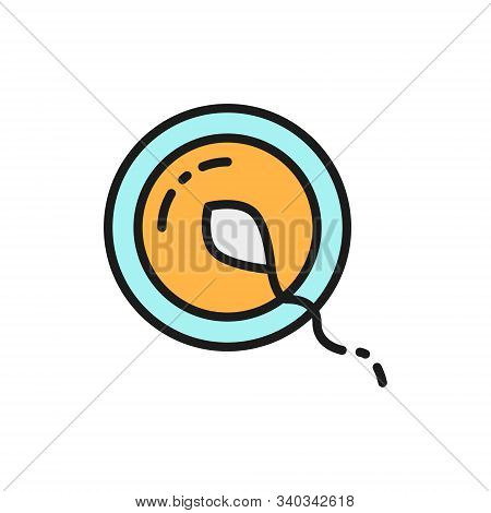 Vector Fertilization, Ovum, Spermatozoon, Sperma Flat Color Line Icon.