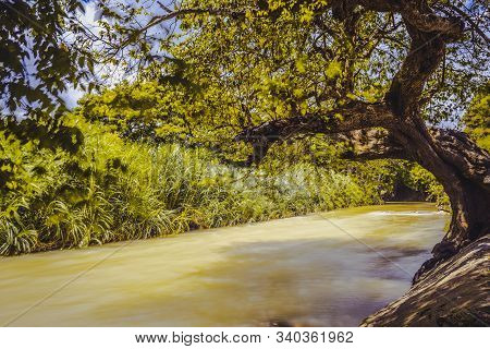 River Flowing Beside Lush Green Trees & Plants In Rural Landscape Scene. Scenic Tropical Caribbean I
