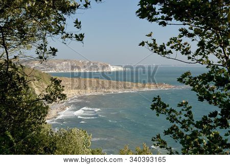 Peveril Point At Swanage Seen Through Trees From Durlston In Dorset