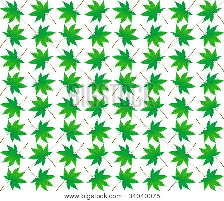 Javorové listy Samless pozadí