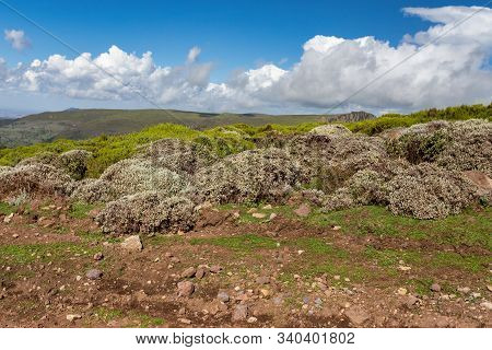 Ethiopian Bale Mountains National Park Landscape. Wilderness Pure Nature, Sunny Day With Blue Sky. E