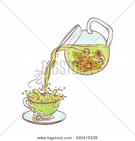 Vector Tea Flowers Brew Process. Make And Pour In Transparent Cup Hot Aromatic Drink With Blossoming
