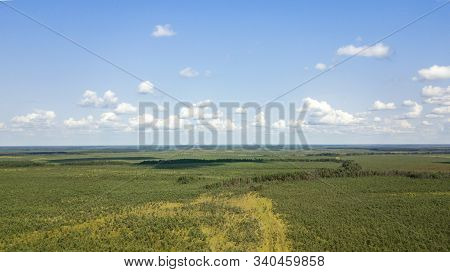 Aerial View Of A Green Fores And Blue Sky. Texture And Beatiful Background.