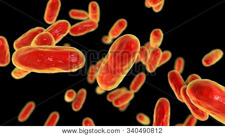 Bacteria Bordetella Pertussis, 3d Illustration. Gram-negative Coccobacilli Bacteria Which Cause Chil