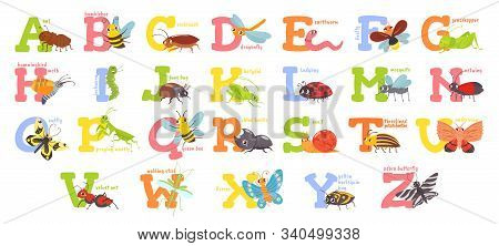 Cartoon Insects Alphabet. Funny Bug Letters, Comic Insect Abc For Kids And Cute Bugs Vector Illustra