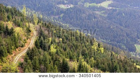 Picturesque Landscape Of A Knurled Road On A Mountainside In The German Forest Schwarzwald, Overlook
