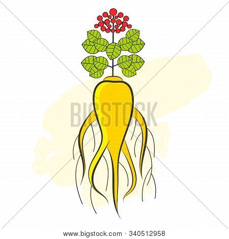 A Ginseng Root And A Part Of The Plant. Design Element, Illustration For Logo, Banner, Poster, Busin