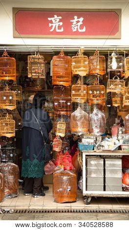 HONG KONG, CHINA - March 3, 2019: Woman looking for birds in bird market in Hong Kong, The Chinese had traditionally liked to keep birds as pets