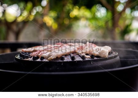 Grilled Pork On The Electric Grill ,boken Is Background