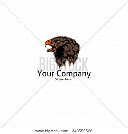 Vector Of Head Eagle For Icon Logo Template.